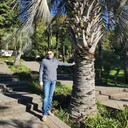 ���������� ������, ���� ������� �����, 50 ���, ������������ ��� ������