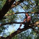 ���������� ������, ���� ������� ����, 37 ���, ������������ ��� ����� � ���������, c�������� ���������