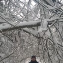 ���������� ���������, ���� ������� ������, 48 ���, ������������ ��� ������, ����� � ���������, c�������� ���������