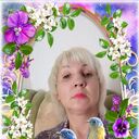  ,   , 53 ,     , c 
