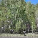 ���������� ���������, ���� ������� ������, 31 ���, ������������ ��� ������, ����� � ���������, c�������� ���������