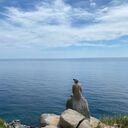 ���������� �����������, ���� ������� ����������, 30 ���, ������������ ��� ������, ����� � ���������, c�������� ���������