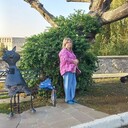   ,   , 55 ,     , c , 