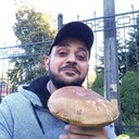 ���������� ����, ���� ������� Majid, 39 ���, ������������ ��� ������, ����� � ���������, c�������� ���������