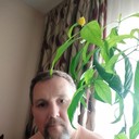 ���������� �������, ���� ������� ����, 55 ���, ������������ ��� ������, ����� � ���������, c�������� ���������