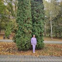  ,   , 68 ,   ,   , 