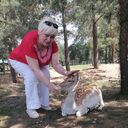 ���������� ������, ���� ������� ����, 59 ���, ������������ ��� c�������� ���������