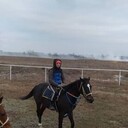 ���������� ���������, ���� ������� Dima, 26 ���, ������������ ��� ����� � ���������, c�������� ���������