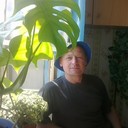 ���������� �������, ���� ������� �������, 54 ����, ������������ ��� ������, ����� � ���������, c�������� ���������