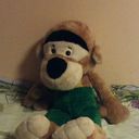 ���������� ������, ���� ������� ���, 56 ���, ������������ ��� ������, ����� � ���������, c�������� ���������, ���������