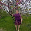 ���������� ��������, ���� ������� ������, 47 ���, ������������ ��� ������, ����� � ���������