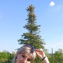  ,   , 45 ,     , c 