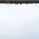 ���������� �����������, ���� ������� �����, 45 ���, ������������ ��� ������, ����� � ���������