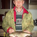  ,   , 51 ,   