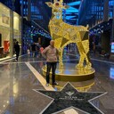  ,   , 61 ,     , c , 