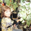 ���������� ������, ���� ������� �������, 66 ���, ������������ ��� ������, ����� � ���������, c�������� ���������