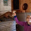 ���������� �����, ���� ������� Tatiana, 59 ���, ������������ 