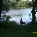  ,   Den, 48 ,  