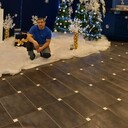 ���������� ����, ���� ������� �������, 40 ���, ������������ ��� ������, ����� � ���������, c�������� ���������