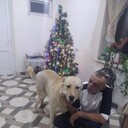  Nepasice,   , 57 ,   ,   