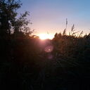 ���������� ����, ���� ������� �������, 47 ���, ������������ ��� ����� � ���������, c�������� ���������