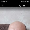  ,   , 49 ,   ,   