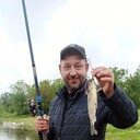   ,   , 44 ,   ,   
