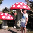 ���������� ������, ���� ������� �������, 53 ����, ������������ ��� ������, ����� � ���������