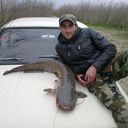 ���������� ������ ��������, ���� ������� ����, 41 ���, ������������ ��� ������, ����� � ���������, c�������� ���������