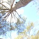 ���������� ���������, ���� ����� Behruz, 20 ���, ������������ ��� ������, ����� � ���������