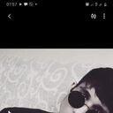 Soho,   Ramin, 26 ,   ,   