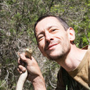 ���������� �����������, ���� ������� �������, 42 ����, ������������ ��� ����� � ���������, c�������� ���������