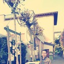 ���������� �������, ���� ������� ��������, 29 ���, ������������ ��� ������, ����� � ���������, c�������� ���������