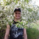  ,   , 38 ,   ,   , c 