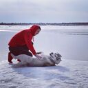 ���������� ������������, ���� ������� ����, 29 ���, ������������ 