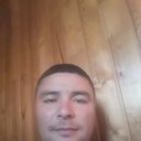 ���������� ����, ���� ������� ���������, 38 ���, ������������ ��� ������, ����� � ���������