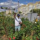 ���������� ���������, ���� ������� ��� ���, 45 ���, ������������ ��� ������, ����� � ���������