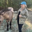 ���������� ������, ���� ������� ����, 23 ����, ������������ ��� ������, ����� � ���������, ���������