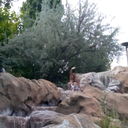 ���������� ������, ���� ������� Simon, 33 ����, ������������ ��� ������