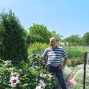  ,   Vladislav, 64 ,   c 