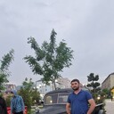  ,   Exclusive, 38 ,     , c , 