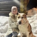 ���������� ������, ���� ������� ������, 33 ����, ������������ ��� c�������� ���������