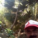 ���������� ����, ���� ������� StoneLion, 57 ���, ������������ ��� ������, ����� � ���������, c�������� ���������