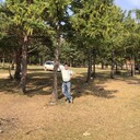  ,   , 62 ,   ,   