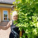 ���������� ����, ���� ������� ������, 50 ���, ������������ ��� ������, ����� � ���������