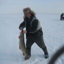 ���������� ������, ���� ������� �������, 56 ���, ������������ ��� ������, ����� � ���������, c�������� ���������, ���������