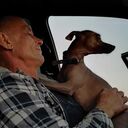 ���������� ����, ���� ������� ���������, 55 ���, ������������ ��� ������, ����� � ���������