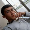  ,   Daler5553441, 38 ,   ,   , c 