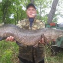 ���������� ���������, ���� ������� �������, 40 ���, ������������ ��� ������, ����� � ���������, c�������� ���������