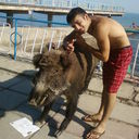  ,   Angrycat, 33 ,   